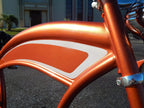 Tamco Paint Copperhead on Bicycle