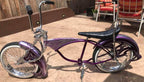 Slick Silver Metallic Bicycle