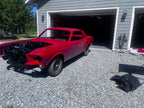 Tamco Paint Ford Candy Apple Red on Ford Mustang GT/CS