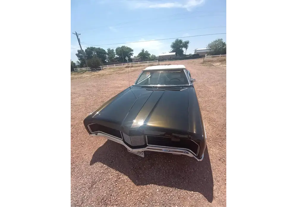 Tamco Paint Ford  Dark Ivy Green Pearl OEM in 1970