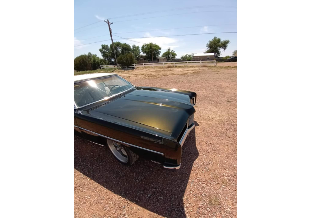 Tamco Paint Ford  Dark Ivy Green Pearl OEM in 1970