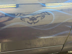 Tamco Paint Ford Kona Blue Pearl on 1969 Ford Mustang