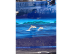 Tamco Paint Freedom Blue on Ford Econoline / Club Wagon