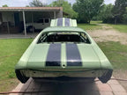 Tamco Paint GM Green Mist Metallic in 1971 Chevrolet Chevelle