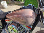 Tamco Paint Ghosted Cranberry in Harley-Davidson Dyna Glide