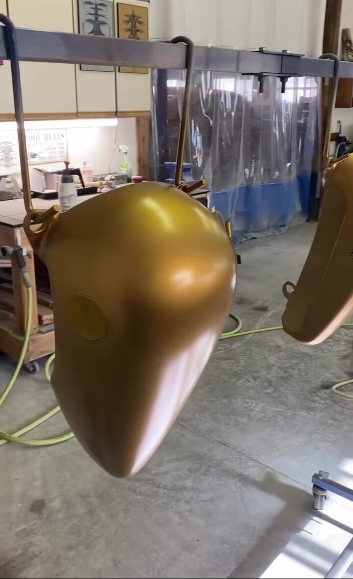 Tamco Paint Goldmember in Motorcycle Parts