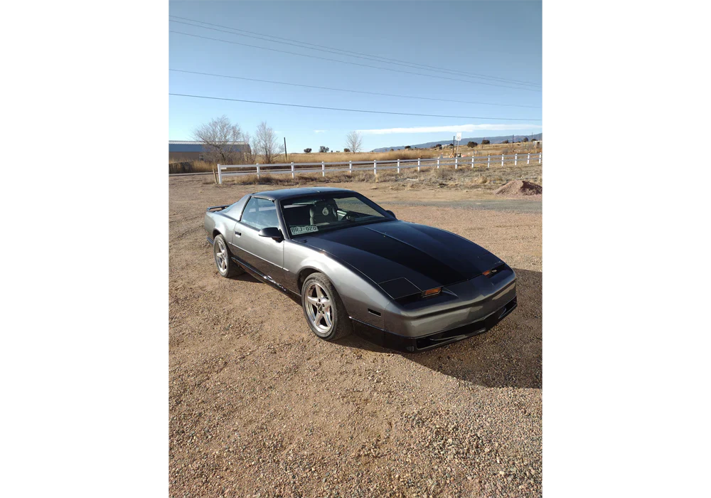 Tamco Paint Gunmetal in 1992 Pontiac Firebird