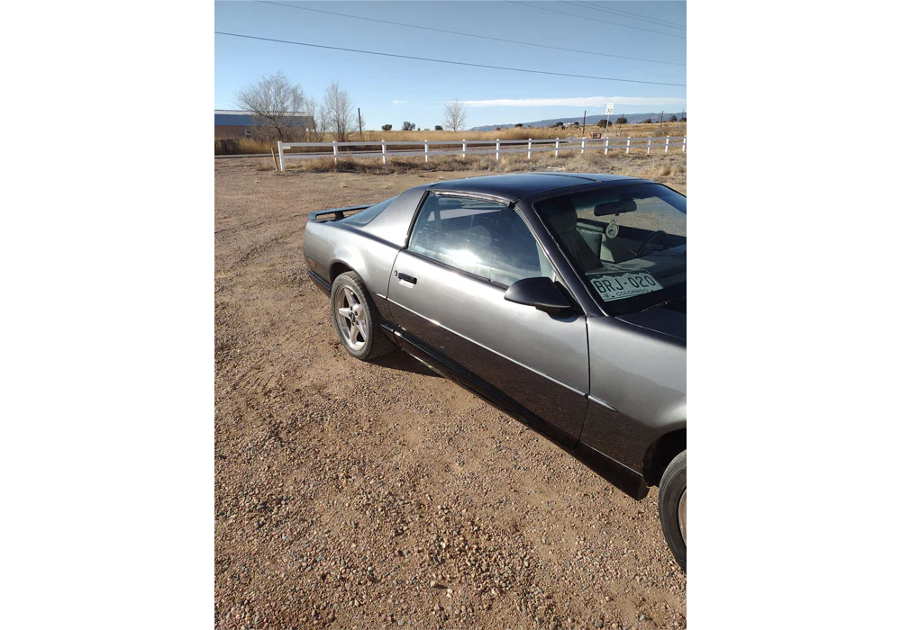 Tamco Paint Gunmetal in 1992 Pontiac Firebird