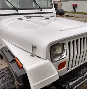 Tamco Paint HB9901 Bright White in Jeep Wrangler