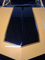 Tamco Paint Honda Rio Yellow OEM Basecoat Color Code: Y65P-S