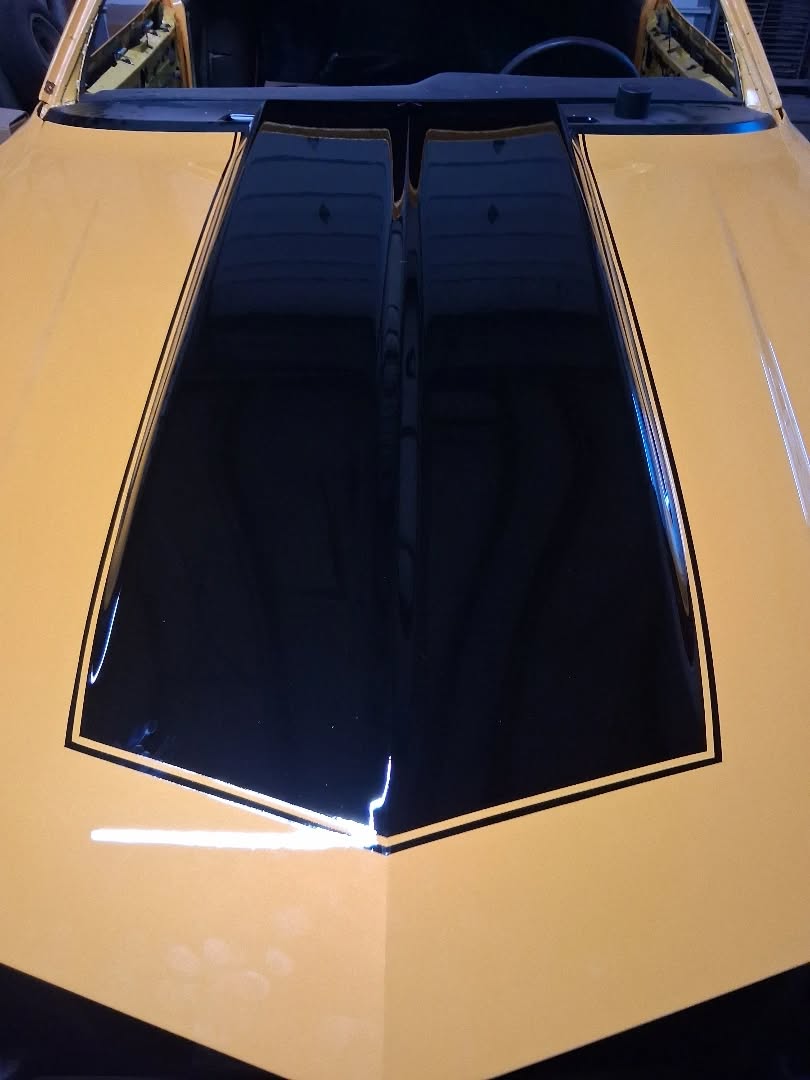 Tamco Paint Honda Rio Yellow OEM Basecoat Color Code: Y65P-S