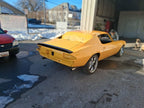 Tamco Paint Honda Rio Yellow OEM Basecoat Color Code: Y65P-S