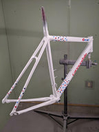 Tamco Paint Bicycle  Forum Blizzard Of Ozz Blue Pearl 