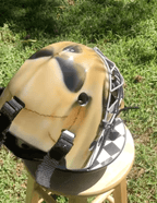 Tamco Paint Tamco Intensities and Butterscotch Schnapps Pearl on Hockey Helmet