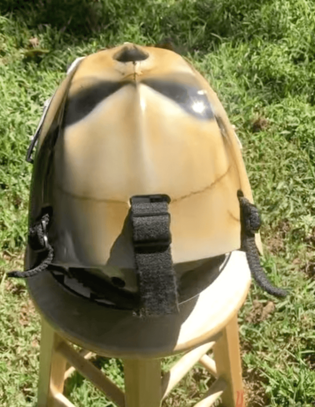 Tamco Paint Tamco Intensities and Butterscotch Schnapps Pearl on Hockey Helmet
