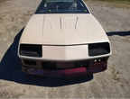 Tamco Paint 1992 Chevrolet Camaro Ivory Pearl 