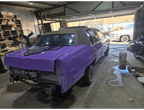 Tamco Paint Lavender Lust Pearl in 1996 Cadillac Fleetwood Brougham