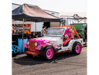 Tamco Paint Lipstick in 1976 Jeep CJ