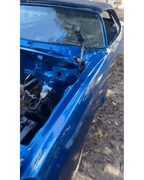 Tamco Paint Monaco Candy Concentrate on Chevrolet Caprice Convertible