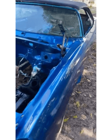 Tamco Paint Monaco Candy Concentrate on Chevrolet Caprice Convertible