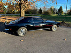 Tamco Paint Murdered Out Black 2.0 on 1967 Chevrolet Camaro