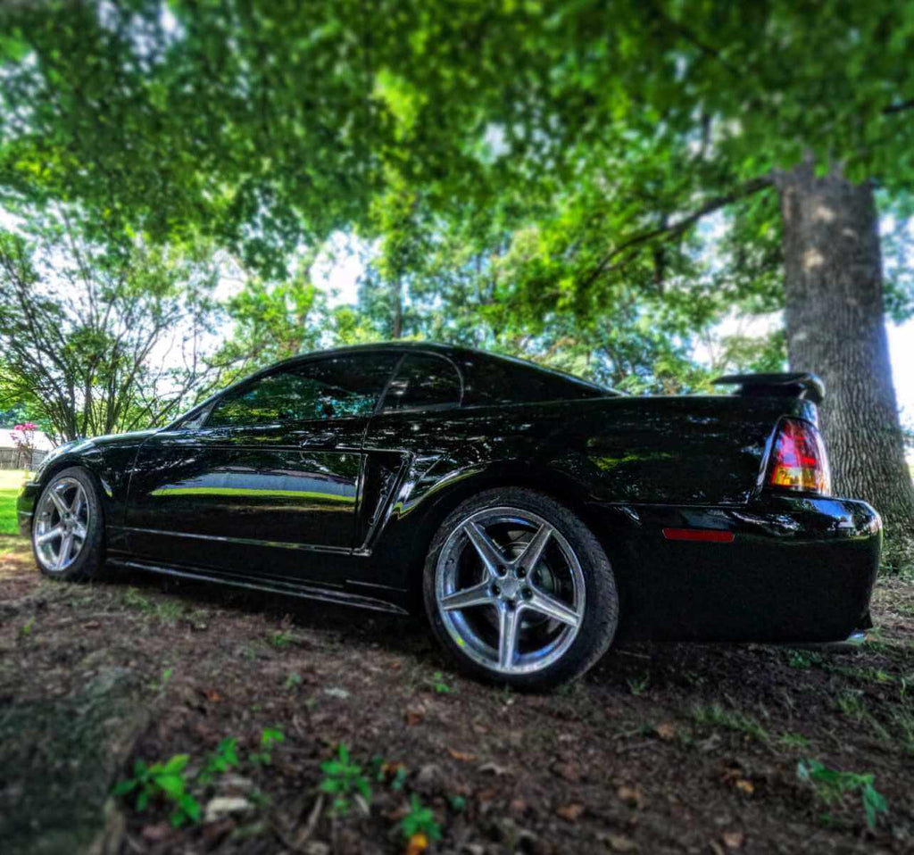 Tamco Paint Murdered Out Black 2.0 on Ford Mustang