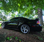 Tamco Paint Murdered Out Black 2.0 on Ford Mustang