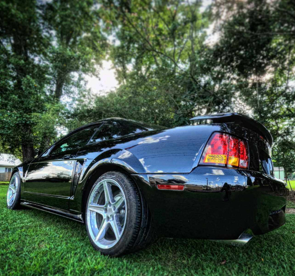 Tamco Paint Murdered Out Black 2.0 on Ford Mustang
