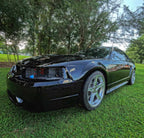 Tamco Paint Murdered Out Black 2.0 on Ford Mustang