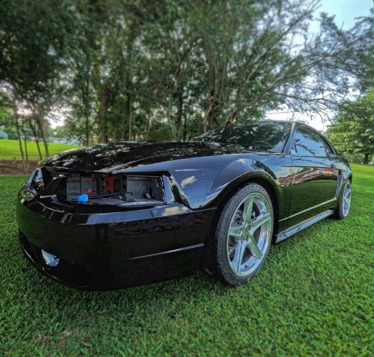 Tamco Paint Murdered Out Black 2.0 on Ford Mustang