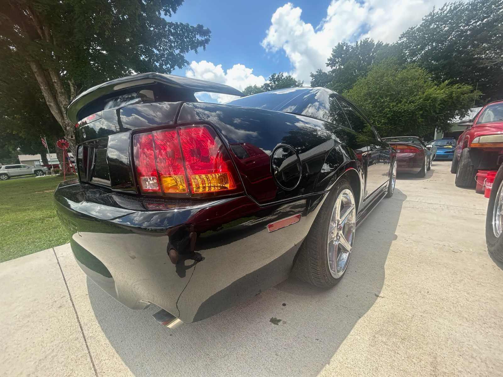 Tamco Paint Murdered Out Black 2.0 on Ford Mustang