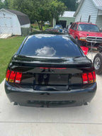 Tamco Paint Murdered Out Black 2.0 on Ford Mustang