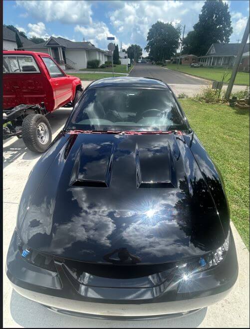 Tamco Paint Murdered Out Black 2.0 on Ford Mustang