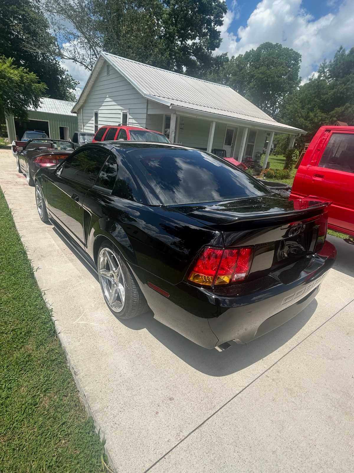 Tamco Paint Murdered Out Black 2.0 on Ford Mustang