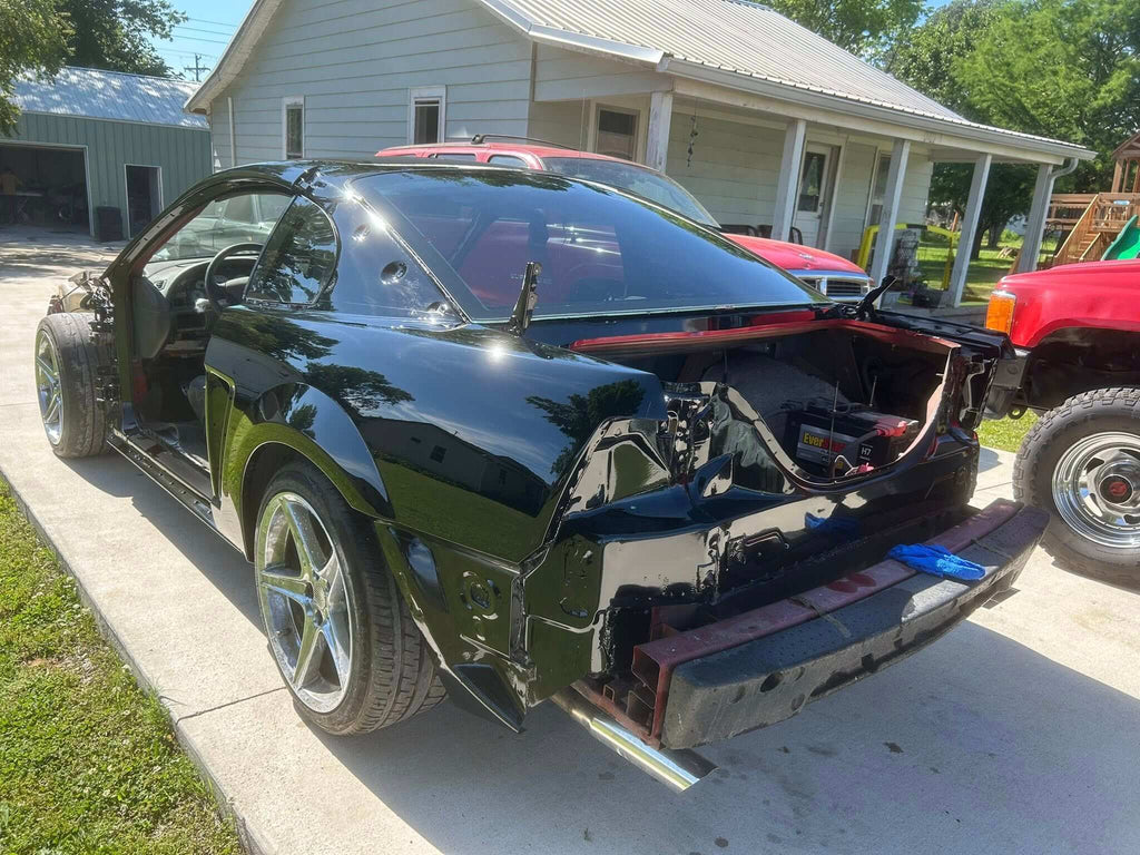 Tamco Paint Murdered Out Black 2.0 on Ford Mustang