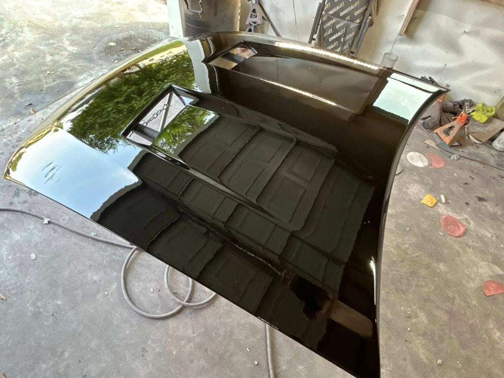 Tamco Paint Murdered Out Black 2.0 on Ford Mustang