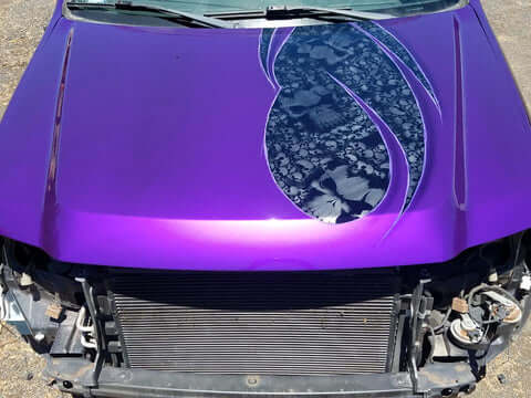 Tamco Paint Purple Pop Pearl