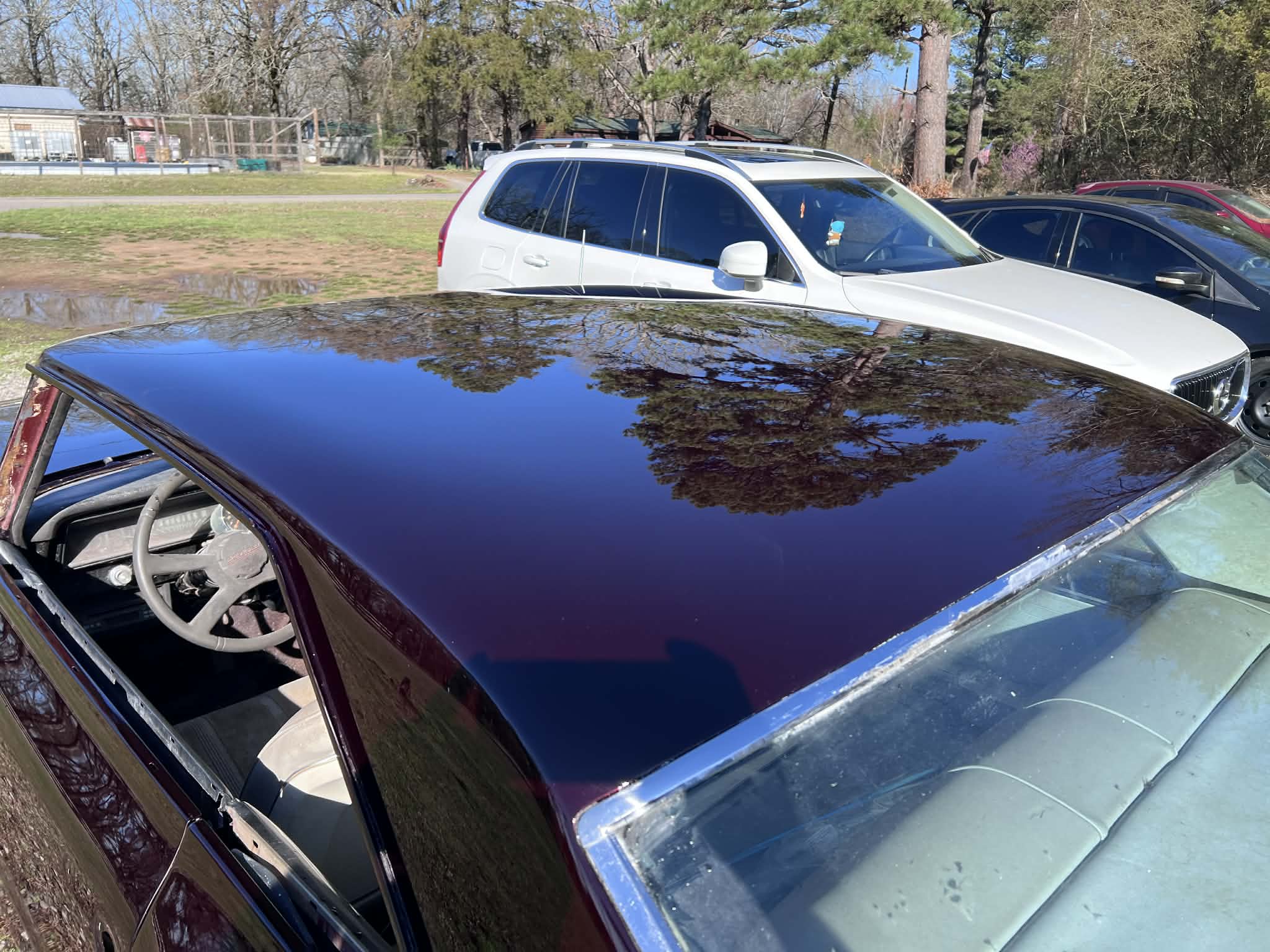 Tamco Paint Riddler Red on Chevrolet Nova