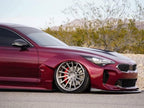 Tamco Paint Rock It Red on Kia Stinger