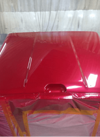 Tamco Paint Rock It Red in Car Part