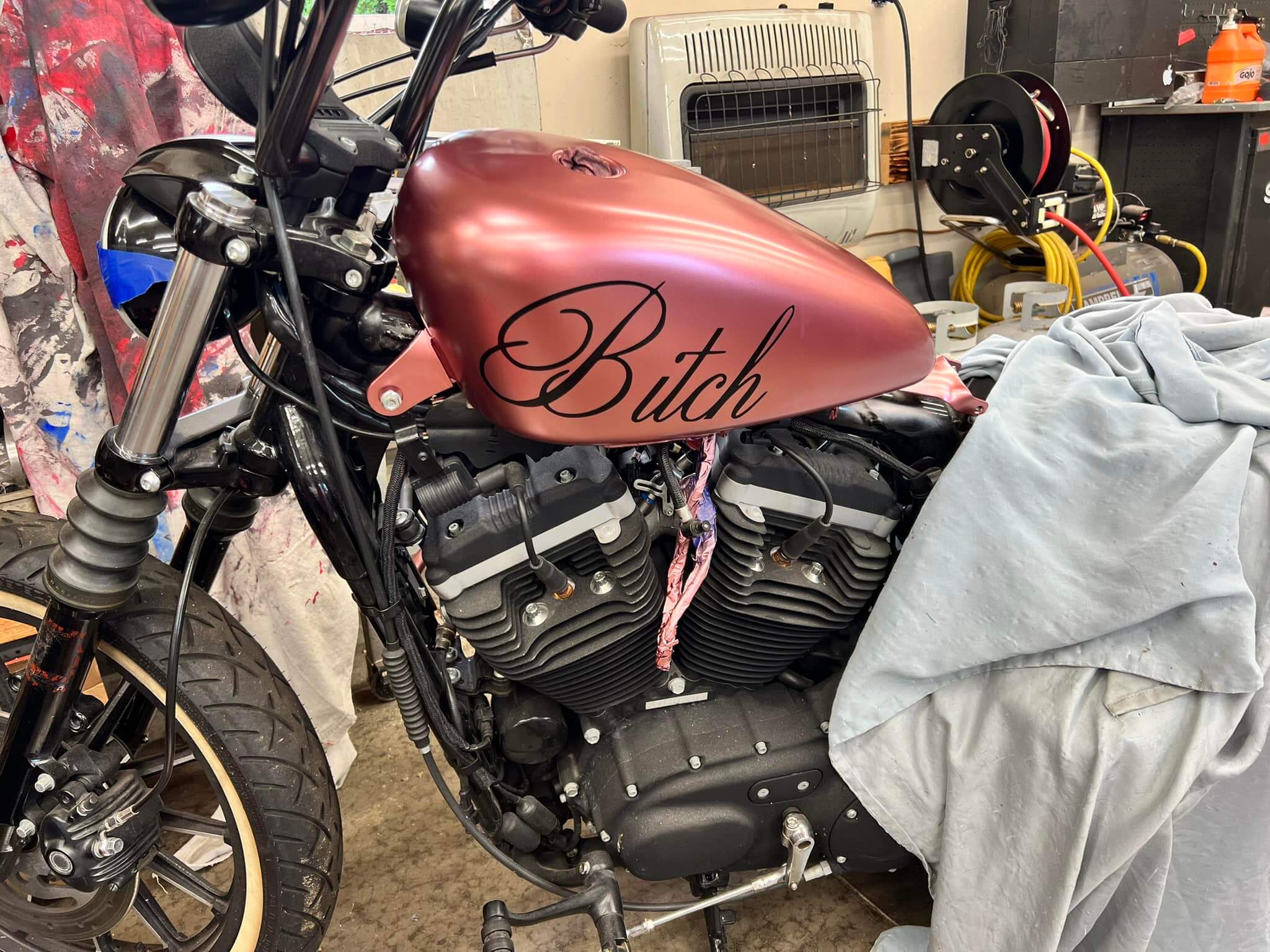 Rose Gold 2017 Harley Davidson