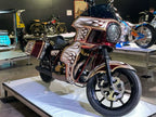 Tamco Paint Sasparilla Candy Concentrate on Harley-Davidson FXR