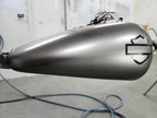 Tamco Paint Secret Silver on Motorcycle Tank