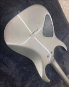 Tamco Paint Secret Silver on Guitar