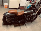 Tamco Paint Secret Silver on Harley Davidson