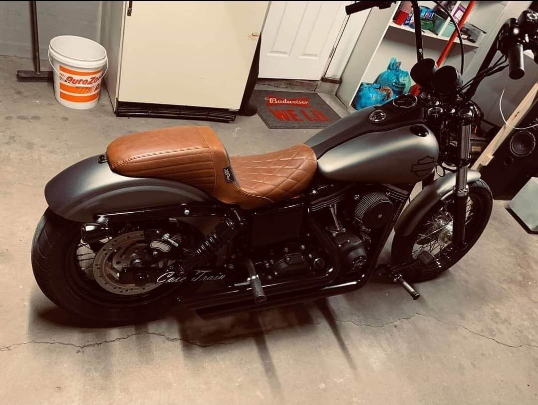 Tamco Paint Secret Silver on Harley Davidson