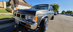 Tamco Paint Smoke Metallic on 1995 Nissan Hardbody