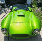 Tamco Paint 1965 Shelby Cobra Sublime Green 