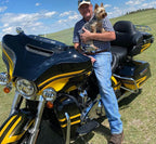  Tamco Paint Motorcycle Sunsation Yellow