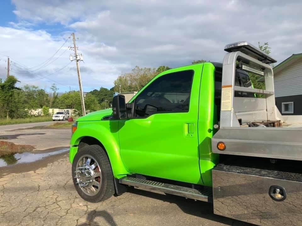 Tamco Paint 1999 Dodge Dakota Toxicity 